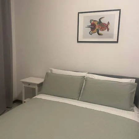 Confortevole Con Costosa Ristrutturazione In Viale Massenzio Masia 科莫